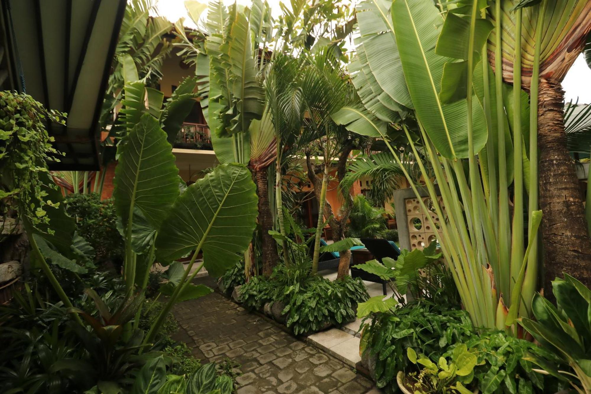 Hotel Mina Pelasa Legian (Bali)